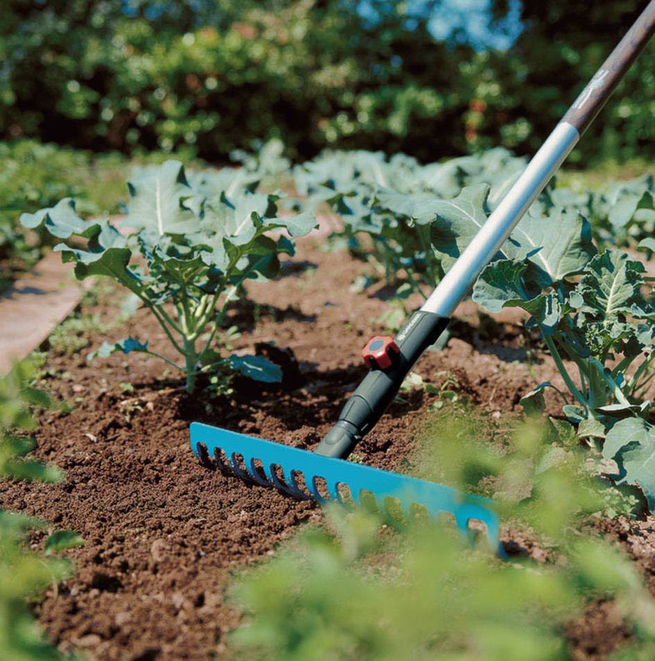 Modrá hrábě zpracovává půdu zeleninové zahrádky s mladými rostlinami pod modrým nebem.