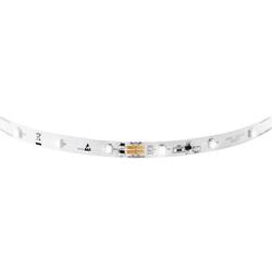 LED pásek Barthelme 50801426 50801426, 24 V, studená bílá, 810 cm