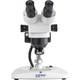 Kern Optics OZL 445 stereomikroskop se zoomem binokulární 36 x procházející světlo, dopadající světlo