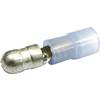 Kulatý faston Cimco 180302, 1.50 - 2.50 mm², Ø pin: 5 mm, částečná izolace, modrá (transparentní), 1 ks