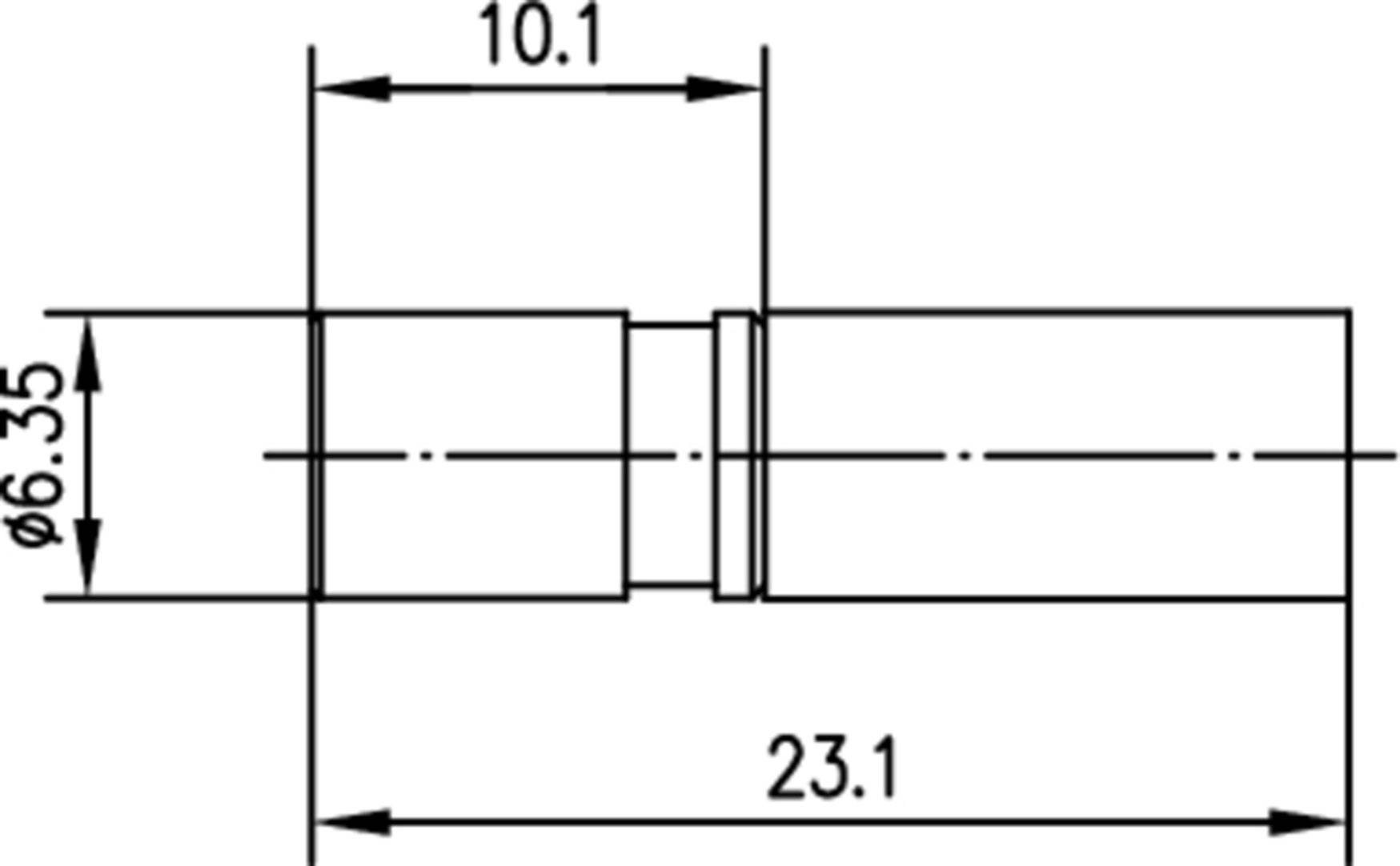 Technický výkres válcové součásti. Průměr 6,35 mm, délka 23,1 mm, jeden úsek vyznačen 10,1 mm.