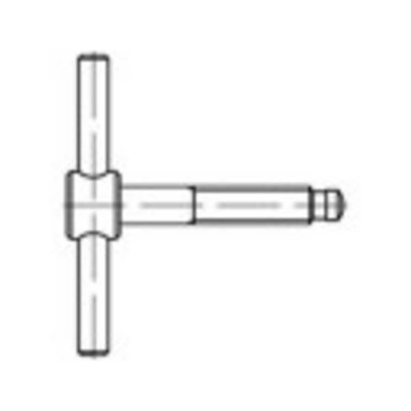 TOOLCRAFT  137846 křídlový šroub M8 60 mm  DIN 6304   ocel leštěný 1 ks