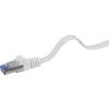 Sieťový kábel RJ45 RENKFORCE CAT6A S / FTP patch 10 m, plochý