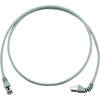 Sieťový prepojovací kábel RJ45 Telegärtner L00001A0199, CAT 6A, S/FTP, 2.00 m, sivá