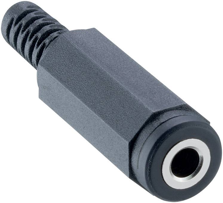 Lumberg 1522 02 jack konektor 3.5 mm zásuvka, rovná Pólů: 2 mono černá 1 ks