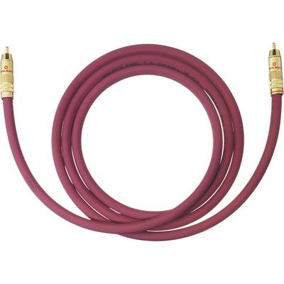 Červený zvukový kabel, spirálovitě svinutý, se zlatými konektory na obou koncích.