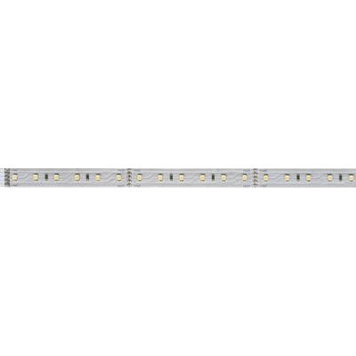 LED pásek se 12 SMD LED diodami, rovnoměrně rozmístěnými na úzkém pruhu.