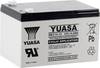 Yuasa REC14-12 YUAREC1412 olověný akumulátor 12 V 14 Ah olověný se skelným rounem (š x v x h) 151 x 97 x 98 mm plochý konektor 6,35 mm nepatrné vybíjení, nenáročné na obsluhu, odolné proti více cyklům