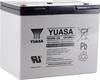 Yuasa REC80-12 YUAREC8012 olověný akumulátor 12 V 80 Ah olověný se skelným rounem (š x v x h) 259 x 212 x 168 mm šroubované M6 nepatrné vybíjení, nenáročné na obsluhu, odolné proti více cyklům