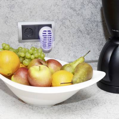 Gardigo UV-LED-Fruitvliegval 25143 UV lapač hmyzu UV světlo, mřížka pod napětím 1 W (š x v x h) 60 x 95 x 85 mm bílá 1 k-4