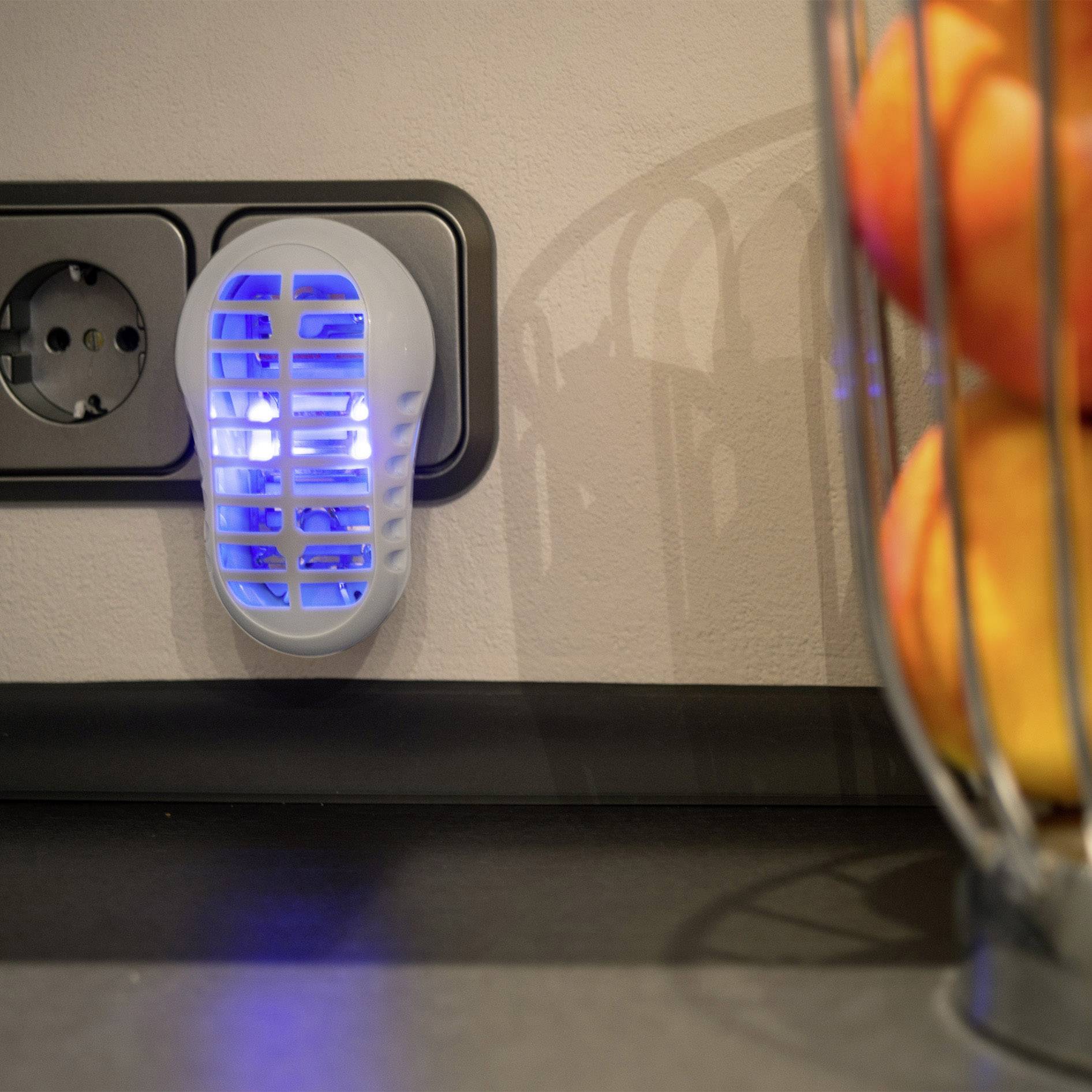 Gardigo UV-LED-Fruitvliegval 25143 UV lapač hmyzu UV světlo, mřížka pod napětím 1 W (š x v x h) 60 x 95 x 85 mm bílá 1 k-5