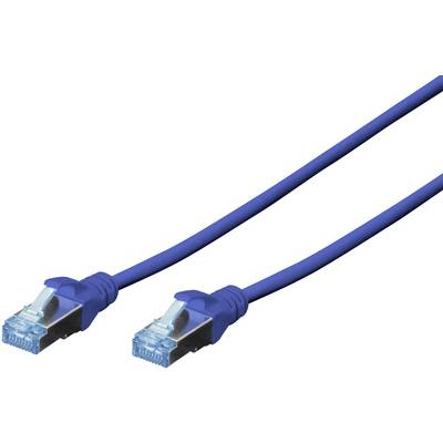 Modrý ethernetový kabel se dvěma konektory RJ-45 na obou koncích, používaný pro síťová připojení v počítačových sítích.