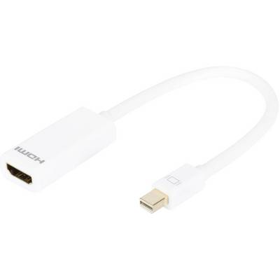 Bílý HDMI-to-Mini-DisplayPort adaptér používaný k propojení zařízení, zejména pro přenos videa a audia.