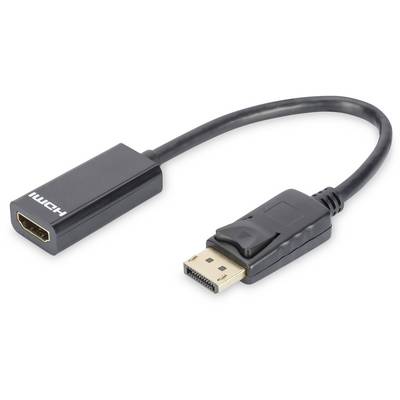 Černý adaptérový kabel s HDMI konektorem na jedné straně a DisplayPort konektorem na straně druhé.