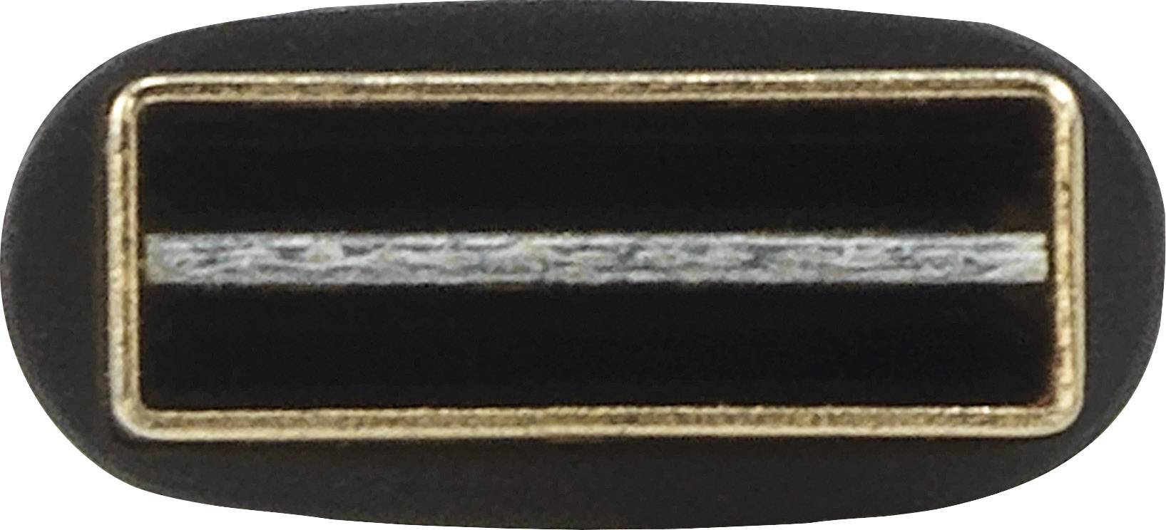 Detailní záběr USB-C konektoru s oválným tvarem a zlatými okraji.