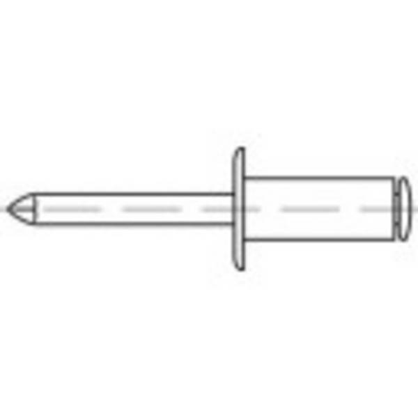 trhací nýt TOOLCRAFT 159901, (Ø x d) 5 mm x 45 mm, ocel, 100 ks