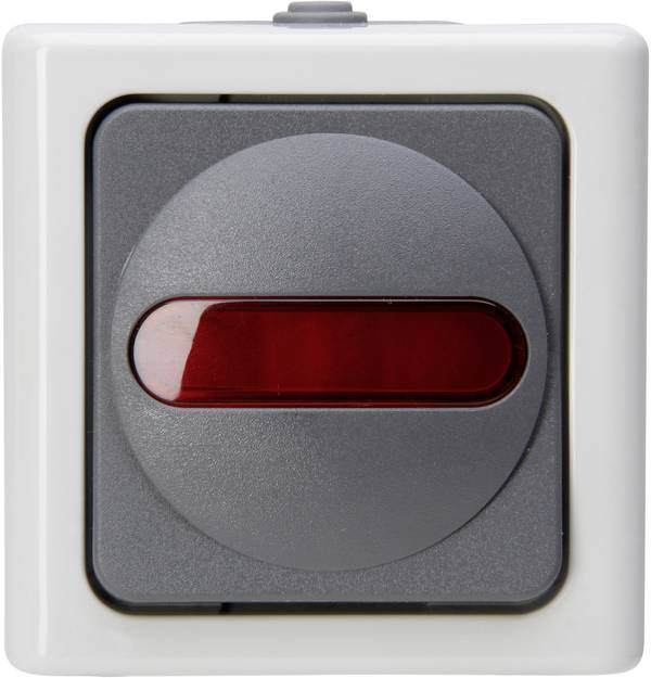 Kopp 561656007  spínání ve vlhkých místnostech kompletní sada kontrolní spínač BlueElectric  šedá 1 ks
