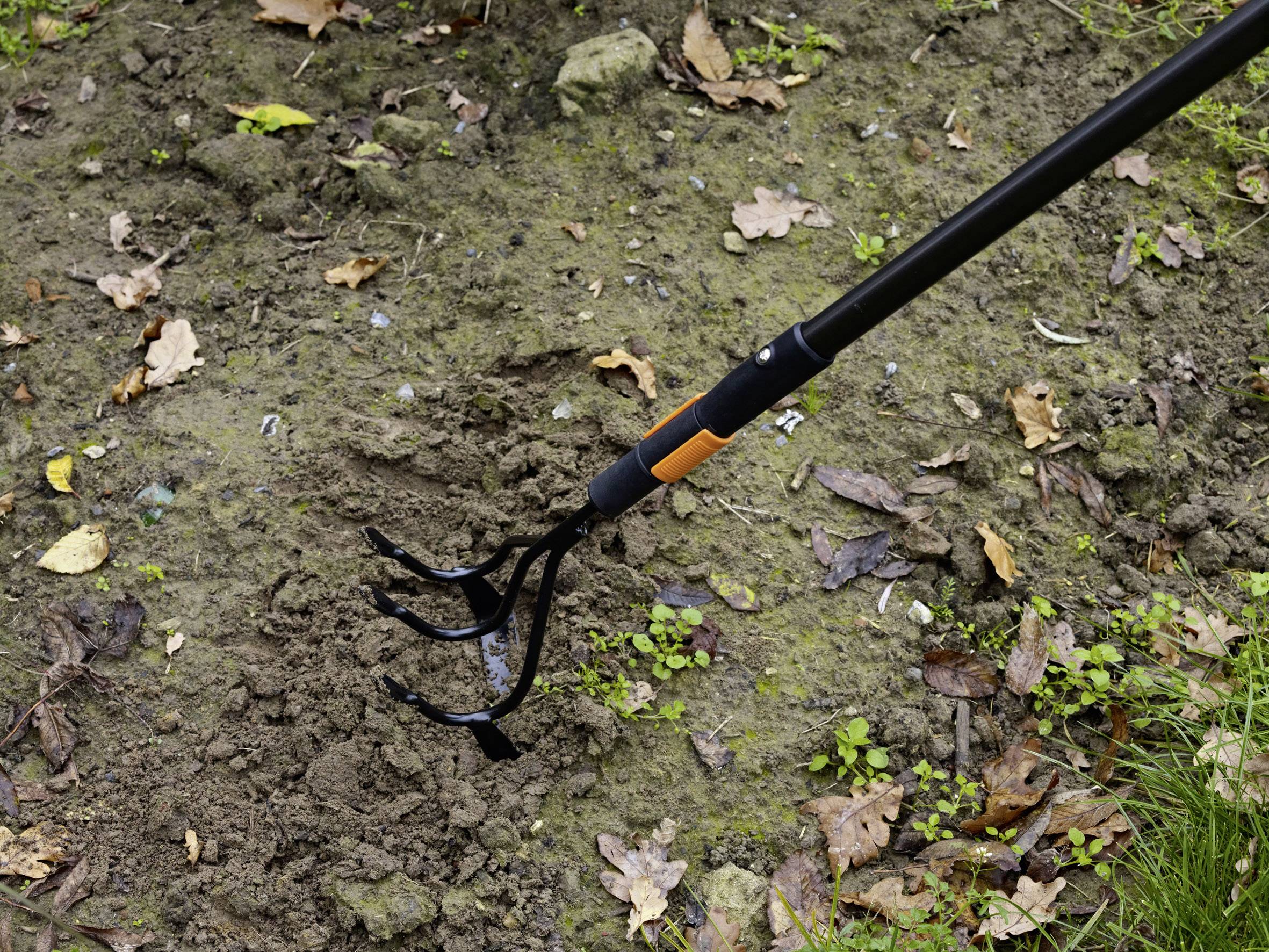 Hrábě zpracovávají půdu v zahradě, obklopené listím a trávou.