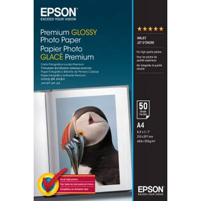 Epson Premium Glossy Photo Paper C13S041624 fotografický papír  255 g/m² 50 listů vysoce lesklý
