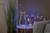Na malém stolku stojí svítící figurka zajíce a váza s větvemi a visícími velikonočními vajíčky. Vlevo je vysoká rostlina.