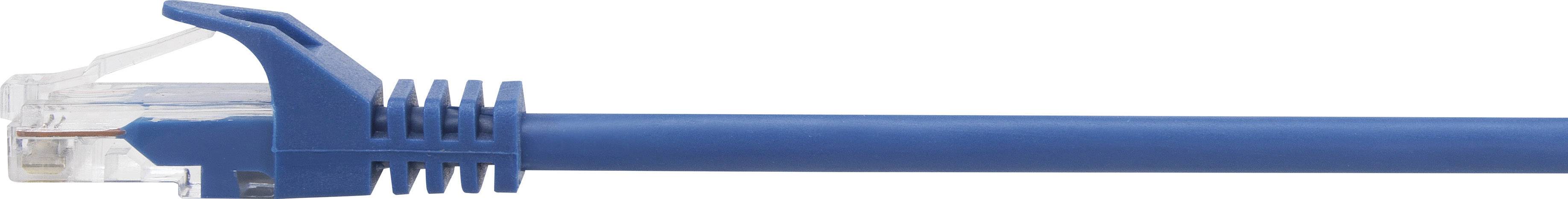 Modrý ethernetový kabel s konektorem RJ45, používaný pro kabelová síťová připojení.
