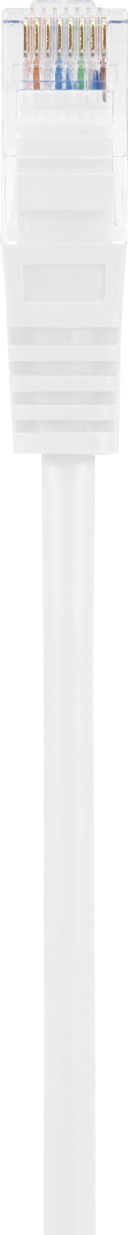 Bílý ethernetový kabel s průhlednou konektorovou zástrčkou RJ45, skrz kterou jsou viditelné barevné vodiče, visí dolů.