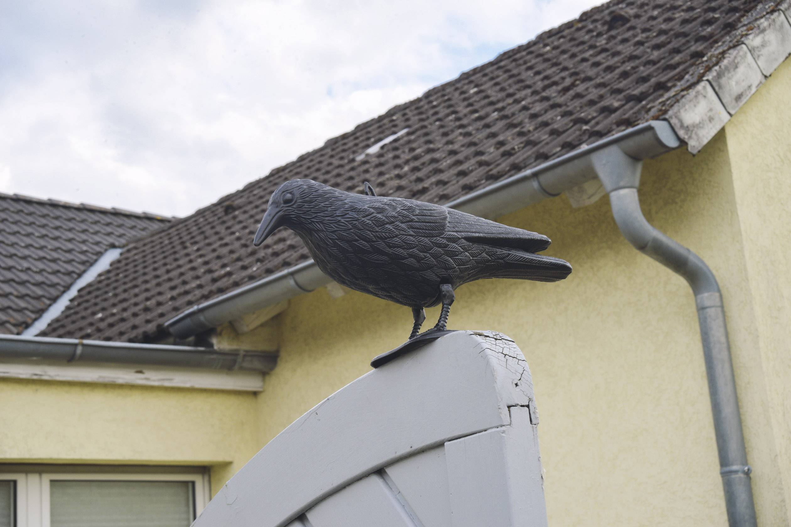 Figurka vrány sedí na zahradní brance před domem s žlutou omítkou a hnědými střešními taškami. Obloha je místy zatažená.