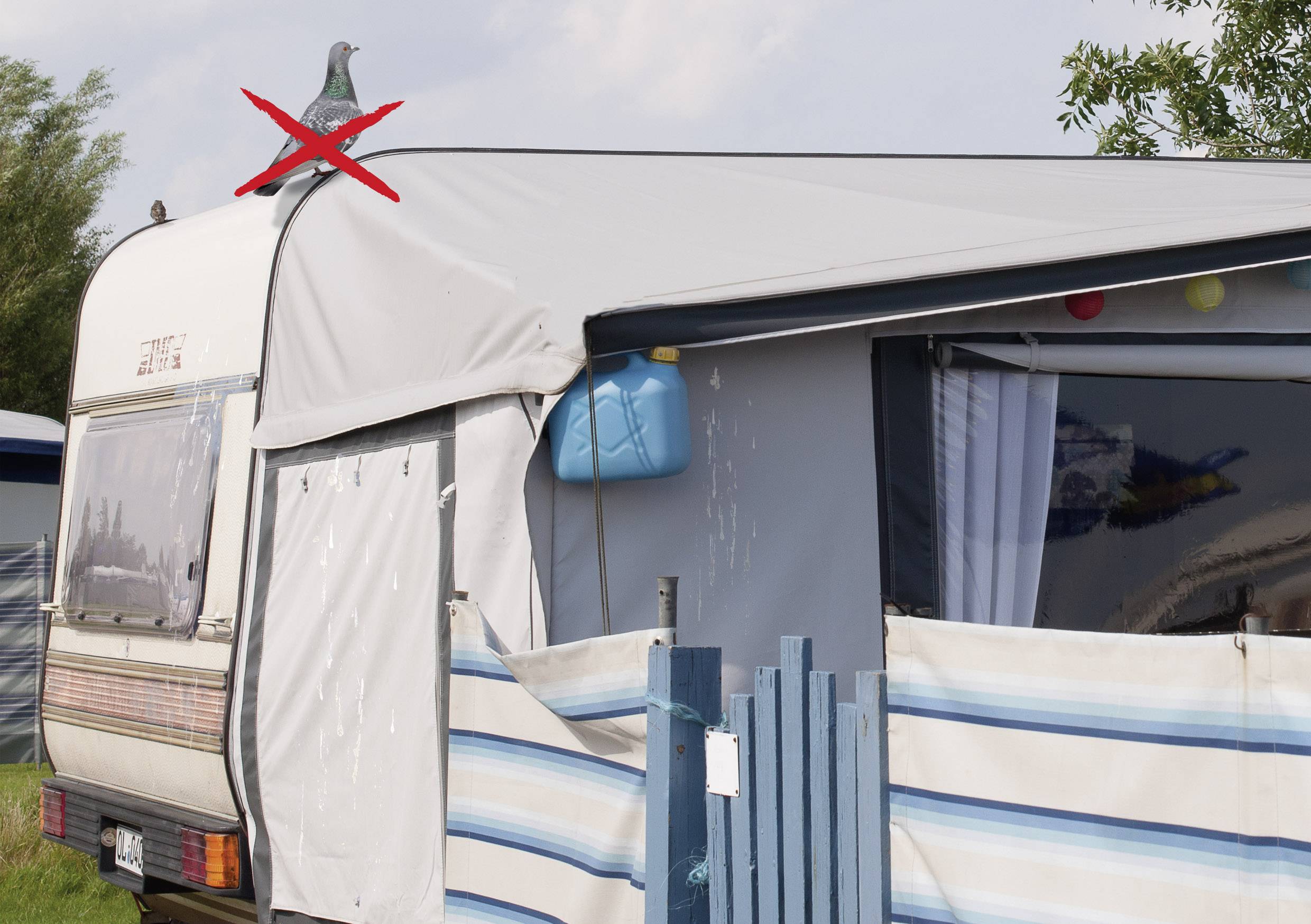 Přívěs na kempování s uzavřenou markýzou, na které je červené označení, a holub sedící na střeše. Modrý kanystr visí po straně.