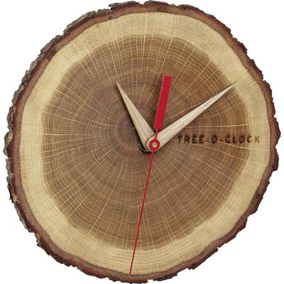 Dřevěné hodiny vyříznuté z průřezu stromu se zřetelnými letokruhy, červenými ručičkami a gravírovaným nápisem 'TREE-O-CLOCK'.