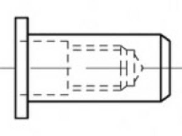 TOOLCRAFT TO-5444286 slepá nýtovací matice M6 ocel 500 ks