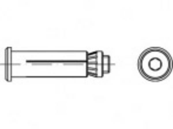 Alstertaler Schrauben & Präzisionsteile  Hollo-Bolt  60 mm pozinkovaná ocel  820310130120060 1 ks