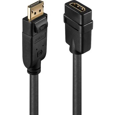 DisplayPort na HDMI kabel, černý, zobrazuje konektor se zdrojovým označením a přijímací zásuvkou. Ideální pro video připojení.