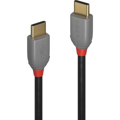 USB-C kabel se dvěma šedými a červenými konektory, vhodný pro přenos dat a nabíjení zařízení.