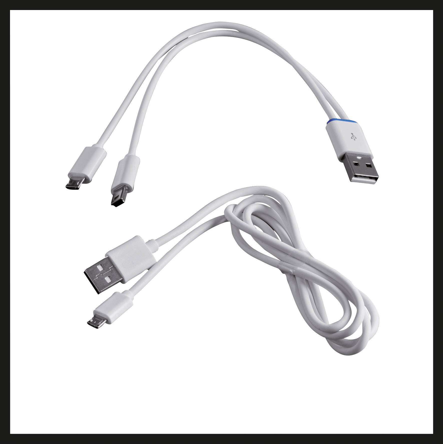 Dva USB kabely, jeden s modrým USB konektorem, druhý svinutý s dvěma různými typy konektorů na jednom konci.