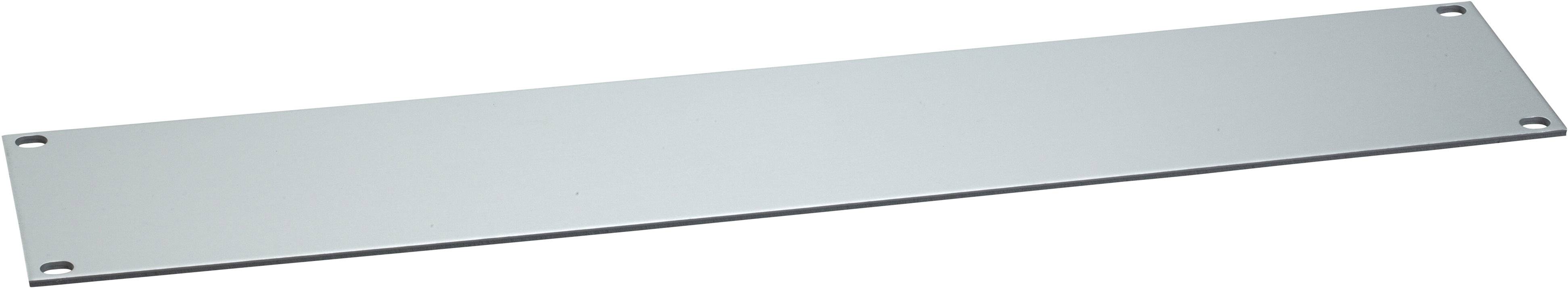 Schneider Electric NSYCRTA1U 19 palec záslepka pro datové skříně 1 U šedá
