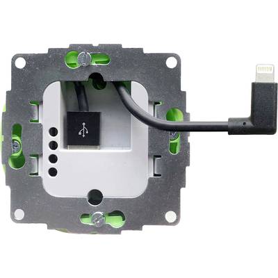Elektrická zásuvka s USB portem a Lightning kabelem. Je namontována a připravena k instalaci do zdi.