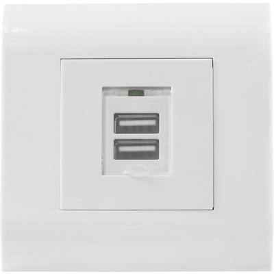 Bílá USB zásuvka se dvěma USB porty ve čtvercovém designu nástěnného krytu, vhodná pro nabíjení zařízení.