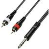 Dvojitý kabel 2x cinch (M) / 1x jack (M) 6,3 mm, 5 m