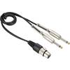 Dvojitý kabel 2x jack (M) 6,3 mm / 1x XLR (F), 0,6 m