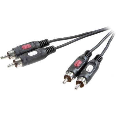 Dva černé audiovlákna s červenými a bílými konektory používané pro analogové audioSpojení.