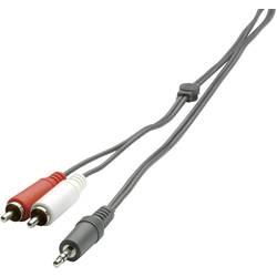 SpeaKa Professional SP-1300360 cinch / jack audio kabel [2x cinch zástrčka - 1x jack zástrčka 3,5 mm] 2.00 m černá