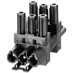 Síťový konektor 1x vstup / 3x výstup Adels AC166GVT 4/ 3 MIT VS. (167153V2), bílá