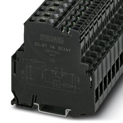 Černé, obdélníkové elektrické zařízení s několika připojovacími body a nápisem 'EC-E1 1A DC24V'. Vyrobeno v Německu.