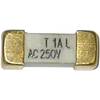SMD pojistka ESKA pomalá 225017, 250 V, 1 A, 12,1 mm x 4.45 mm