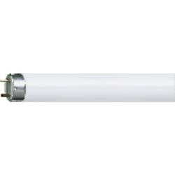 Úsporná zářivka Osram, 18 W, G13, 590 mm, studená bílá
