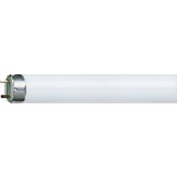 Žiarivka Osram, 230 V/50 Hz, G13, 18 W, 590 mm, studená biela