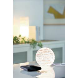 Úsporná stolní lampa Paulmann Living Giba, E14, 25 W