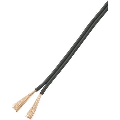 Dvoužilový kabel s černými izolacemi a holými měděnými vodiči na koncích ukazuje technické detaily kabeláže.