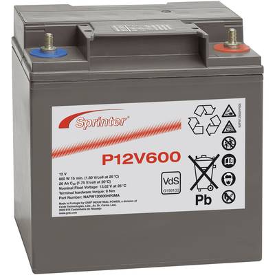 Šedá 12V baterie s logem značky 'Sprinter', model 'P12V600'. Dva póly, červený a modrý kryt. Technické detaily na štítku.