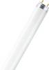 OSRAM HOMELIGHTING zářivková trubice Energetická třída (EEK2021): G (A - G) G13 36 W teplá bílá zářivkový tvar (Ø x d) 26 mm x 1213.6 mm 1 ks